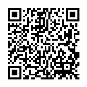 而那九曲晶玉树更是无时无刻不散发出一股股难以言明的神韵二维码生成