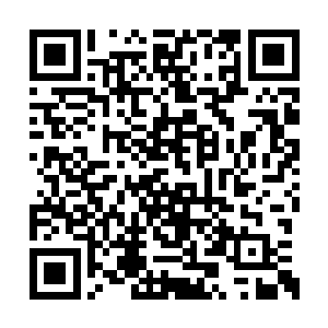 而那九目凶蟾本能的选择了逃离六道轮回的光幕二维码生成