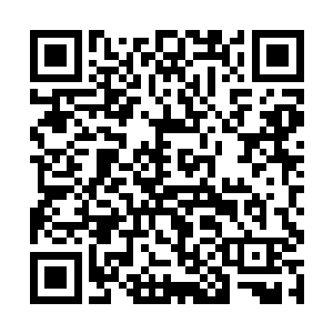 而那些从次大陆运到太夏的各种机器设备之类的东西二维码生成