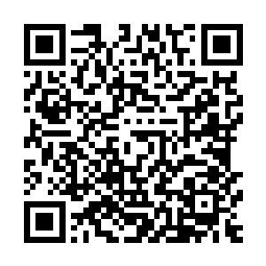 而那些以为可以因为出身高贵名门而坐享一辈子荣华富贵的人二维码生成