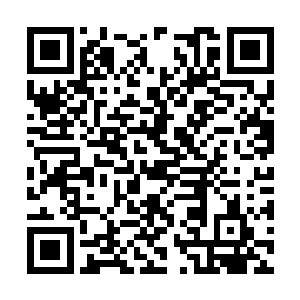 而那些信仰之力也开始重新填补冥凤干涸的神力池二维码生成