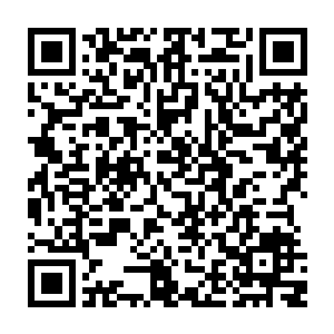 而那些倍暗夜大帝目光扫过的众人此时一个个心中也忍不住打了一个冷颤二维码生成