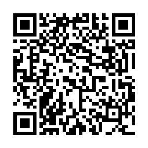 而那些发布消息的人更是瞬间被强大的压力压得跪在了地上二维码生成