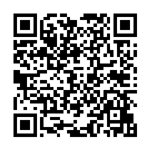 而那些受伤的二门弟子一个个也都是忍着剧痛跟了上去二维码生成