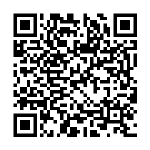 而那些头骨这是和疯狂的野兽一样抓住机会不放过二维码生成