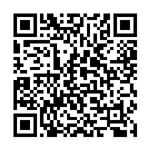 而那些开出的鲜花和结出的果实也能直接用在宴会中二维码生成