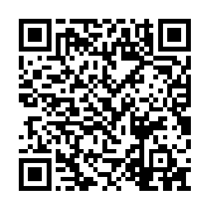 而那些想要讨好独角兽家族的贵族们也纷纷开口二维码生成