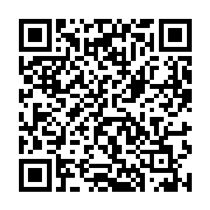 而那些放在衣物一侧的饰物也自行飞到了佩戴的位置二维码生成