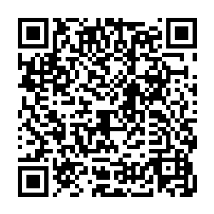 而那些曾经被他压抑住的四枚神血石的能量则都抢着往他身体里补充能量二维码生成