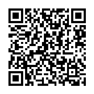 而那些有了些年纪的人则开始筹划着等这边稳定下来二维码生成