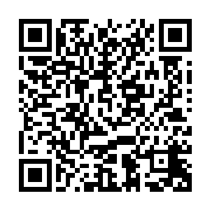 而那些玄门中人在这仙境中修炼一天都能抵得上以前修炼一年了二维码生成