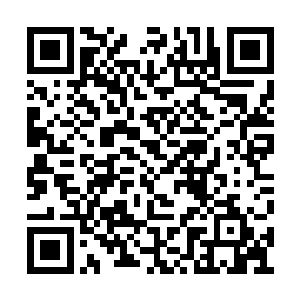 而那些站满了众多宾客身后的婢女们也退了下去二维码生成