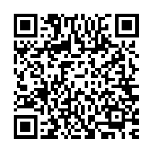 而那些被尸傀发展的僵尸在吸收够了七七十九天的月之精华后二维码生成
