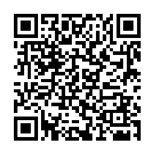 而那似真似假的缘由与锦尘介入的消息传入尘星皇宫二维码生成