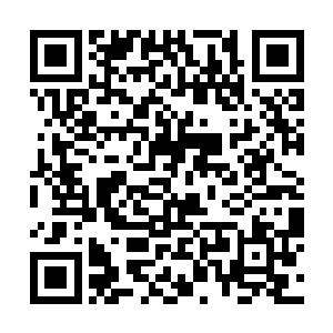 而那几个小队也都陆续发现了几位被杀死的成员尸体二维码生成