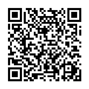 而那剩下的几个青年看了那前台美女一眼突然大笑二维码生成