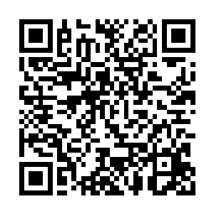 而那半截白皙的小腿依然是他脑海里最深的牵挂二维码生成