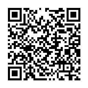 而那原本神色傲慢的曾哥也似乎早习惯了这种场面二维码生成