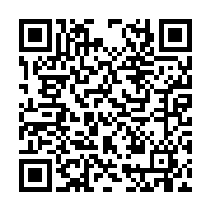 而那原本缠绕在蚊血煞身上的血光也慢慢淡了下去二维码生成