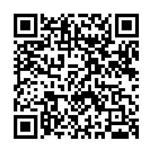 而那双方将士此刻就是在关隘前的平原地带上进行着惨烈的战争二维码生成