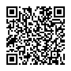 而那只叫水须水母的水母应该正在对那个人类施展幻境二维码生成