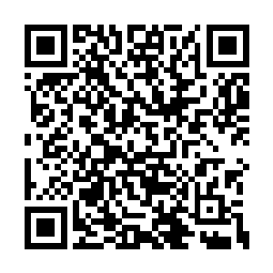 而那只蠢萌的把客气话当真的小魔龙还没说什么二维码生成