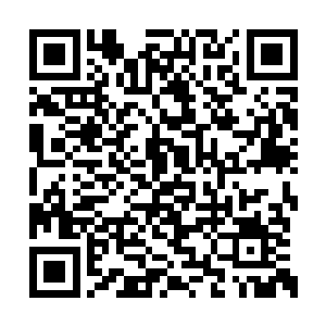 而那名神术师则时不时往地面之下丢一个侦测术二维码生成