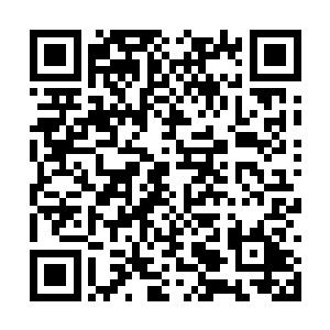 而那在不远处观望的黄脸青年和中年儒士可就惨了二维码生成