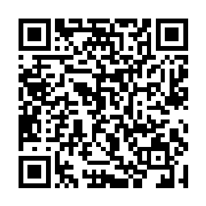 而那婢女的平静反应和那一小臂好似并不存在的骨刺二维码生成