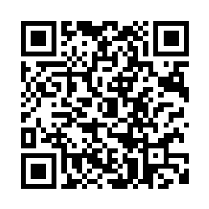 而那巨型飞船里有无数这样的战机二维码生成