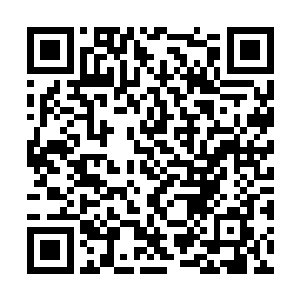 而那批跟踪白羽兵的商修者探子则依旧摸不着头绪二维码生成