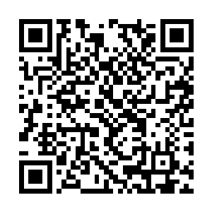 而那时候的娑娜根本就没有时间去观看周围的美景二维码生成