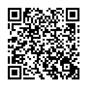 而那条走廊里横七竖八倒着几十个秘社成员的尸体二维码生成