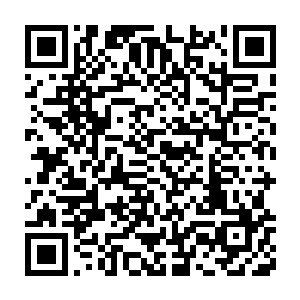 而那来犯的十二个人尊期修士却是从人尊初期到人尊初期巅峰不等二维码生成