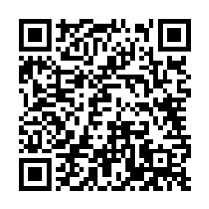 而那炼狱魔主和超级巨人以强悍肉身所发起的轰击二维码生成