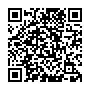 而那白衣青年见状望着女子的目光之中也闪过了一抹炽热的光芒二维码生成