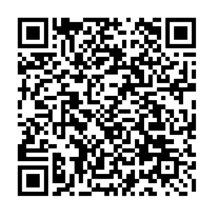 而那老头祭司却除了摘下一条项链挂到对方脖子上就再没有其他对应措施二维码生成