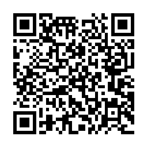 而那边百依百顺的苏雨果也是美丽得令他感到赏心悦目二维码生成