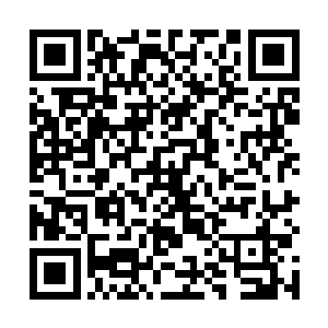 而那边的柳琴却是转过了头来用询问的眼光看了看叶凡二维码生成