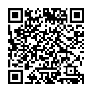 而那道虚影挥出的巨型剑气顿时朝着龙傲天这边攻击过来二维码生成