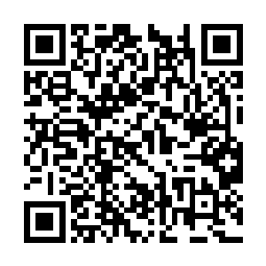 而那金刚忤则在以泰山压顶之势朝着夏云杰打下来二维码生成