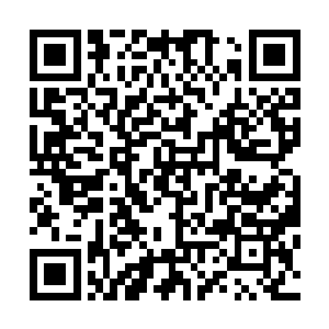 而那青龙印散发出的狂暴力量气息也是令得行长老微一心惊二维码生成