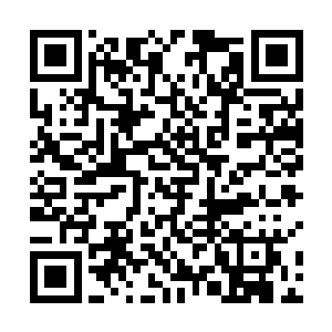 而那黑衣蒙面人受到二女的联手还击也被震的闷声一哼二维码生成