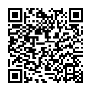 而酒馆之外的傀儡怪物们完全暴露在浩然正气当中二维码生成