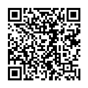 而释羽薰自然是被安排在了这一方专属御千染宫苑的别苑内二维码生成
