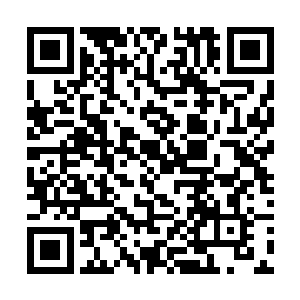 而里面存了起码保守估计能卖十万左右的装备和材料二维码生成