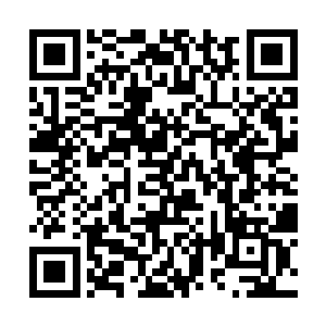 而野猪握持的这面古篆山河盾却也不是什么等闲之物二维码生成