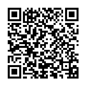而野生的甲鱼那营养价值却是要比市面上卖的饲料甲鱼高多了二维码生成