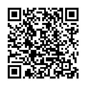 而金在珉接下来一个举动告诉众人他们是玩真的二维码生成