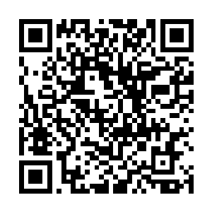 而金字招牌高悬的杜克为了不辜负全球影迷的热切期盼二维码生成